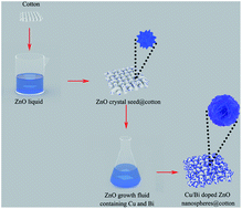 Graphical abstract: Controllable growth of Cu–Bi co-doped ZnO nanospheres on cotton fabrics and a study on their photocatalytic performance in visible light