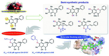 Graphical abstract: Synthesis, cytotoxicity evaluation and molecular docking studies on 2′,4′-dihydroxy-6′-methoxy-3′,5′-dimethylchalcone derivatives