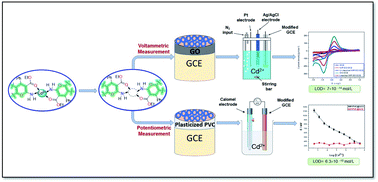 Graphical abstract: Selective and sensitive electrochemical sensors based on an ion imprinting polymer and graphene oxide for the detection of ultra-trace Cd(ii) in biological samples