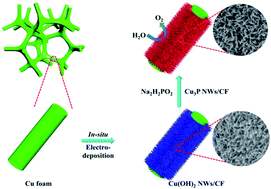 Graphical abstract: Self-supported Cu3P nanowire electrode as an efficient electrocatalyst for the oxygen evolution reaction