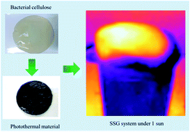 Graphical abstract: Flexible, affordable and environmentally sustainable solar vapor generation based on ferric tannate/bacterial cellulose composite for efficient desalination solutions