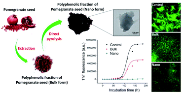 Graphical abstract: Pomegranate seed polyphenol-based nanosheets as an efficient inhibitor of amyloid fibril assembly and cytotoxicity of HEWL