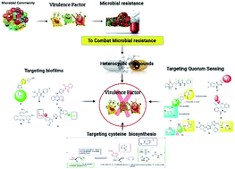 Graphical abstract: Bacterial virulence factors: a target for heterocyclic compounds to combat bacterial resistance