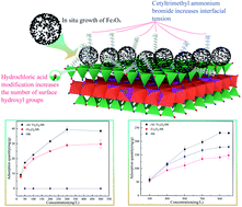 Graphical abstract: In situ growth of Fe3O4 on montmorillonite surface and its removal of anionic pollutants