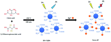 Graphical abstract: Sulfhydryl functionalized carbon quantum dots as a turn-off fluorescent probe for sensitive detection of Hg2+