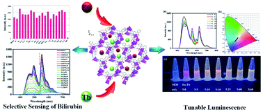 Graphical abstract: A stable Ln(iii)-functionalized Cd(ii)-based metal–organic framework: tunable white-light emission and fluorescent probe for monitoring bilirubin