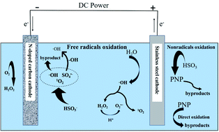 Graphical abstract: Enhancing the activation of persulfate using nitrogen-doped carbon materials in the electric field for the effective removal of p-nitrophenol