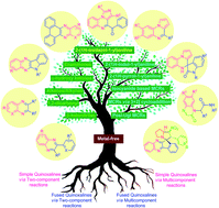 Graphical abstract: Recent advances in the transition-metal-free synthesis of quinoxalines