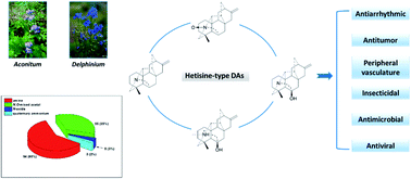 Graphical abstract: Chemistry and biological activities of hetisine-type diterpenoid alkaloids