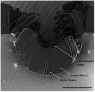 Graphical abstract: Curvature-induced defects on carbon-infiltrated carbon nanotube forests