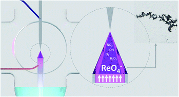 Graphical abstract: Non-thermal atmospheric pressure plasma as a powerful tool for the synthesis of rhenium-based nanostructures for the catalytic hydrogenation of 4-nitrophenol