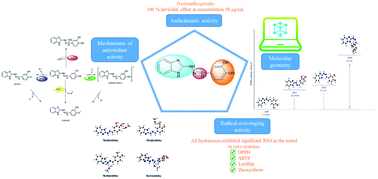 Graphical abstract: New 1H-benzimidazole-2-yl hydrazones with combined antiparasitic and antioxidant activity