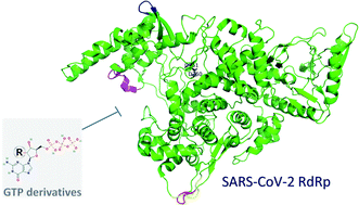 Graphical abstract: Molecular dynamics simulations and MM-GBSA reveal novel guanosine derivatives against SARS-CoV-2 RNA dependent RNA polymerase