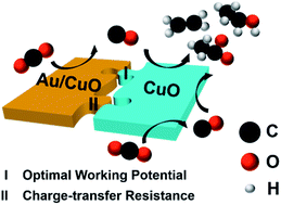 Graphical abstract: The site pair matching of a tandem Au/CuO–CuO nanocatalyst for promoting the selective electrolysis of CO2 to C2 products