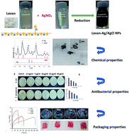 Graphical abstract: Hybrid levan–Ag/AgCl nanoparticles produced by UV-irradiation: properties, antibacterial efficiency and application in bioactive poly(vinyl alcohol) films