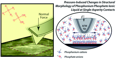 Graphical abstract: In situ nanoscale evaluation of pressure-induced changes in structural morphology of phosphonium phosphate ionic liquid at single-asperity contacts
