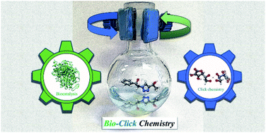 Graphical abstract: Bio-click chemistry: a bridge between biocatalysis and click chemistry
