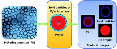 Graphical abstract: Recent progress in Pickering emulsions stabilised by bioderived particles