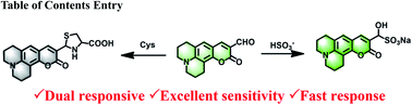 Graphical abstract: A dual responsive fluorescent probe for selective detection of cysteine and bisulfite and its application in bioimaging