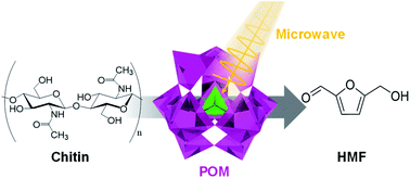 Graphical abstract: Microwave-assisted catalytic conversion of chitin to 5-hydroxymethylfurfural using polyoxometalate as catalyst