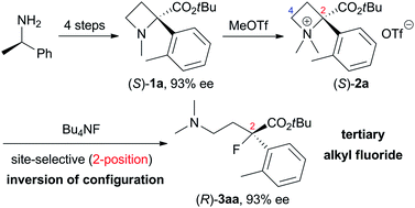 Graphical abstract: Synthesis of tertiary alkyl fluorides and chlorides by site-selective nucleophilic ring-opening reaction of α-aryl azetidinium salts