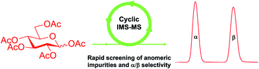 Graphical abstract: Rapid cyclic ion mobility separations of monosaccharide building blocks as a first step toward a high-throughput reaction screening platform for carbohydrate syntheses