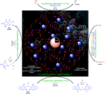 Graphical abstract: Diverse and efficient catalytic applications of new cockscomb flower-like Fe3O4@SiO2@KCC-1@MPTMS@CuII mesoporous nanocomposite in the environmentally benign reduction and reductive acetylation of nitroarenes and one-pot synthesis of some coumarin compounds