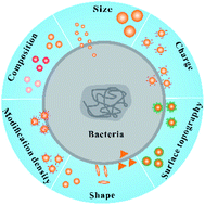Graphical abstract: Selective strategies for antibacterial regulation of nanomaterials