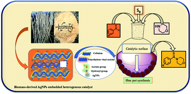 Graphical abstract: Cellulose-reinforced poly(ethylene-co-vinyl acetate)-supported Ag nanoparticles with excellent catalytic properties: synthesis of thioamides using the Willgerodt–Kindler reaction
