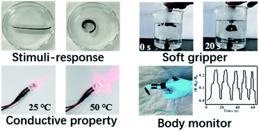Graphical abstract: Multi-responsive and conductive bilayer hydrogel and its application in flexible devices