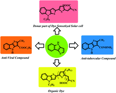 Graphical abstract: Recent advances in the synthesis of thienoindole analogs and their diverse applications