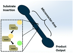 Graphical abstract: Recent developments in microreactor technology for biocatalysis applications