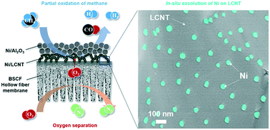 Graphical abstract: Tailoring of a catalyst La0.8Ce0.1Ni0.4Ti0.6O3−δ interlayer via in situ exsolution for a catalytic membrane reactor