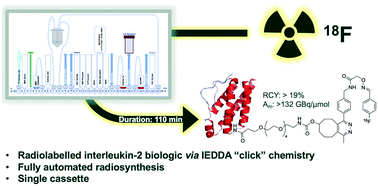 Graphical abstract: Radiolabelling an 18F biologic via facile IEDDA “click” chemistry on the GE FASTLab™ platform