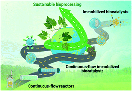 Graphical abstract: Development of a continuous-flow system with immobilized biocatalysts towards sustainable bioprocessing
