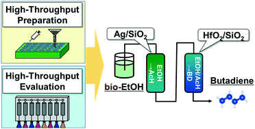 Graphical abstract: High-throughput development of highly active catalyst system to convert bioethanol to 1,3-butadiene
