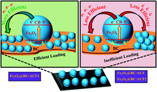 Graphical abstract: An activated carbon fiber supported Fe2O3@bismuth carbonate heterojunction for enhanced visible light degradation of emerging pharmaceutical pollutants