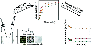 Graphical abstract: Autocatalyzed and heterogeneously catalyzed esterification kinetics of glycolic acid with ethanol