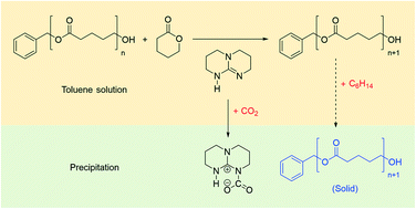 Graphical abstract: Green and sustainable synthesis of poly(δ-valerolactone) with a TBD catalyzed ring-opening polymerization reaction