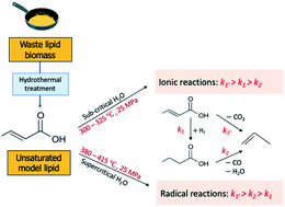 Graphical abstract: Reaction kinetics and pathways of crotonic acid conversion in sub- and supercritical water for renewable fuel production