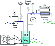 Graphical abstract: Mechanistic investigations on a homogeneous ruthenium Guerbet catalyst in a flow reactor