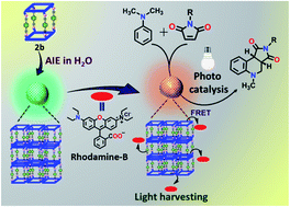 Graphical abstract: Self-assembled metallasupramolecular cages towards light harvesting systems for oxidative cyclization