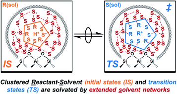 Graphical abstract: Kinetic effects of molecular clustering and solvation by extended networks in zeolite acid catalysis