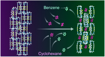 Graphical abstract: Selective adsorptive separation of cyclohexane over benzene using thienothiophene cages