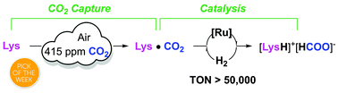 Graphical abstract: An amino acid based system for CO2 capture and catalytic utilization to produce formates