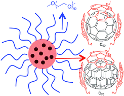 Graphical abstract: Aggregation-free and high stability core–shell polymer nanoparticles with high fullerene loading capacity, variable fullerene type, and compatibility towards biological conditions