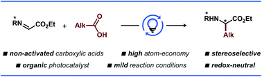 Graphical abstract: Stereoselective synthesis of unnatural α-amino acid derivatives through photoredox catalysis