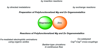 Graphical abstract: Preparation and reactions of polyfunctional magnesium and zinc organometallics in organic synthesis