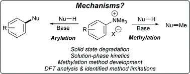 Graphical abstract: Trialkylammonium salt degradation: implications for methylation and cross-coupling
