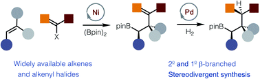 Graphical abstract: Construction of congested Csp3–Csp3 bonds by a formal Ni-catalyzed alkylboration